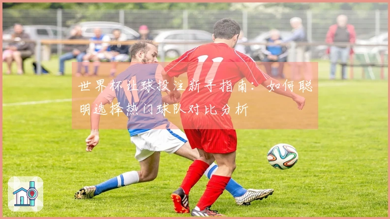 世界杯让球投注新手指南：如何聪明选择热门球队对比分析
