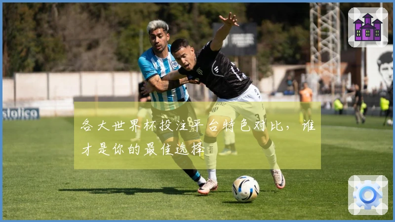 各大世界杯投注平台特色对比，谁才是你的最佳选择