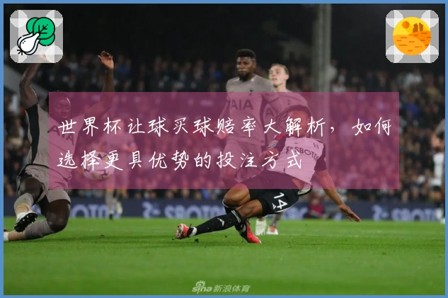 世界杯让球买球赔率大解析，如何选择更具优势的投注方式