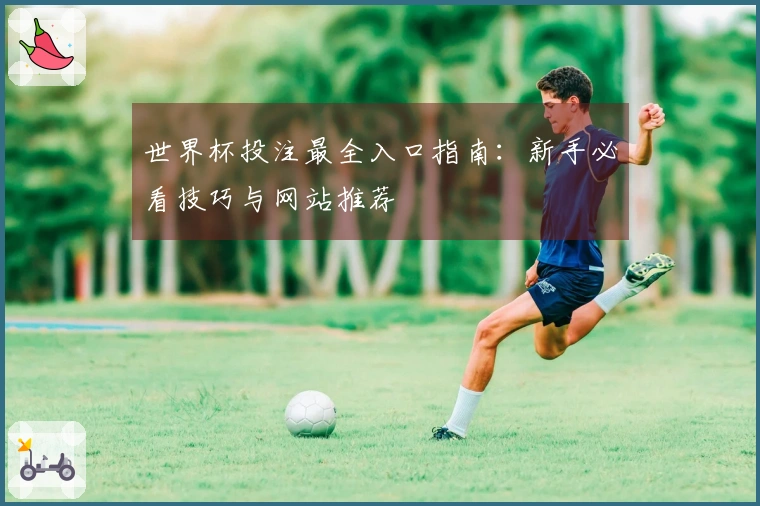 世界杯投注最全入口指南：新手必看技巧与网站推荐