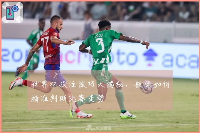世界杯投注技巧大揭秘，教你如何精准判断比赛走势