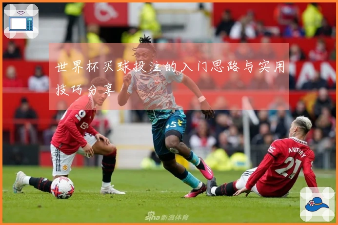 世界杯买球投注的入门思路与实用技巧分享