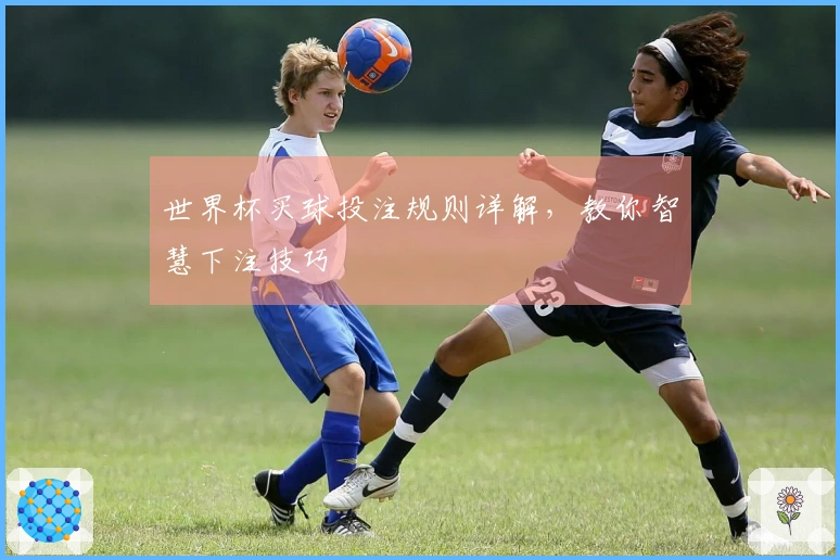 世界杯买球投注规则详解，教你智慧下注技巧