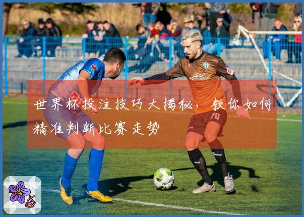 世界杯投注技巧大揭秘，教你如何精准判断比赛走势